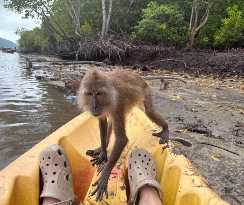 tour-listing-details-slide