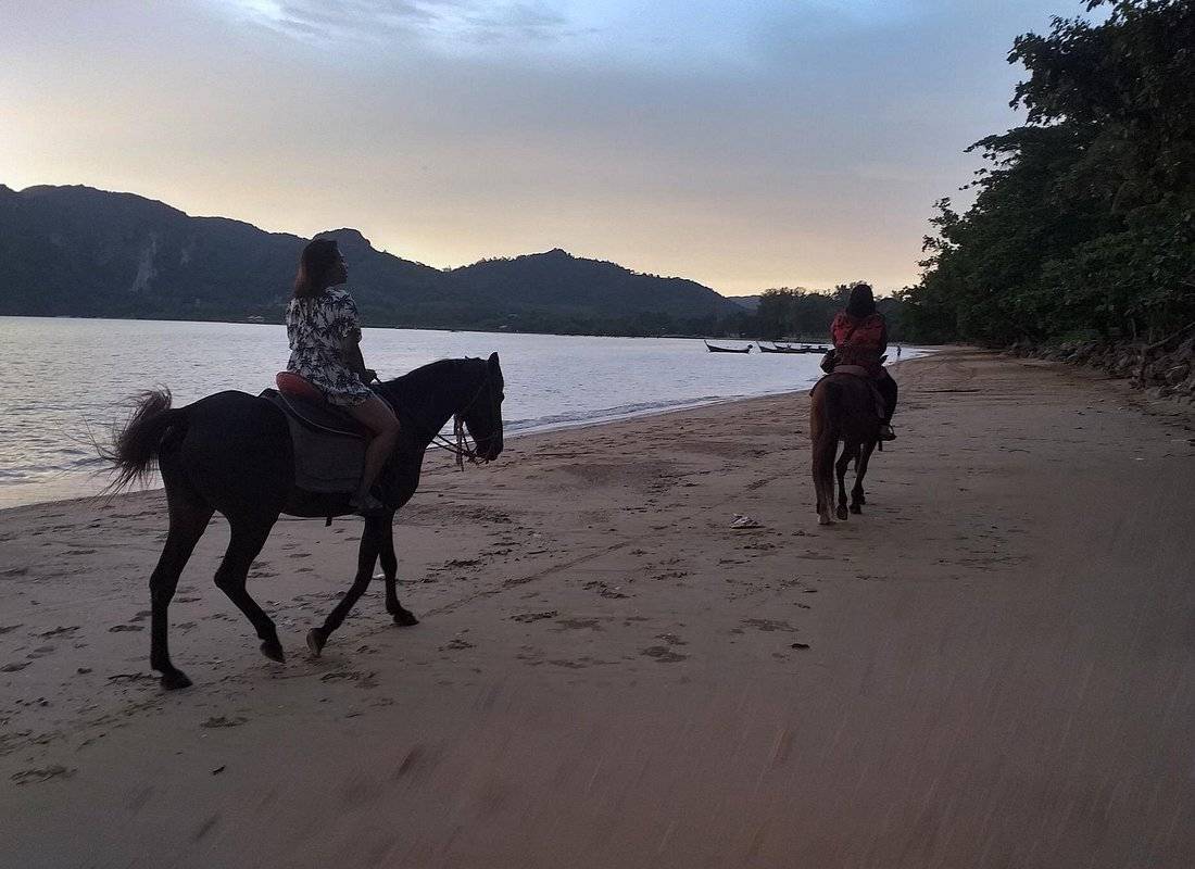 tour-listing-details-slide