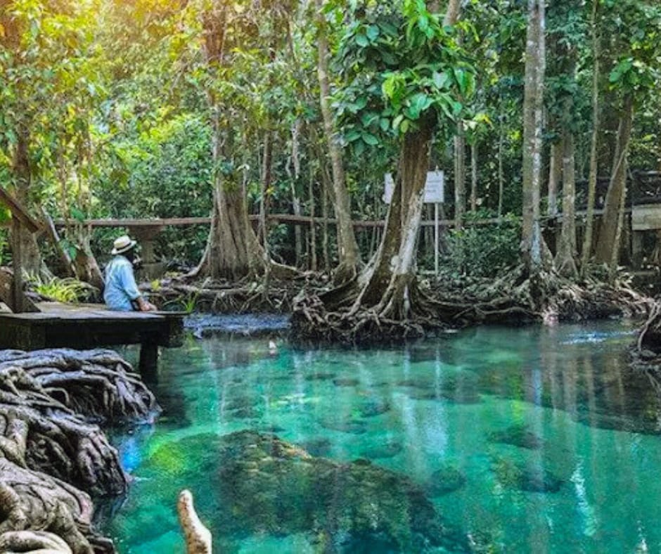 tour-listing-details-slide